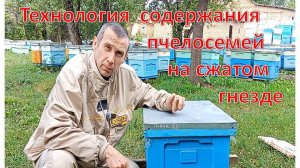 Технология содержания пчелосемей на сжатом гнезде.