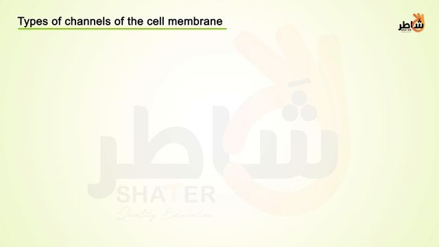 Action potential_eng (1080p with 25fps) смотреть онлайн