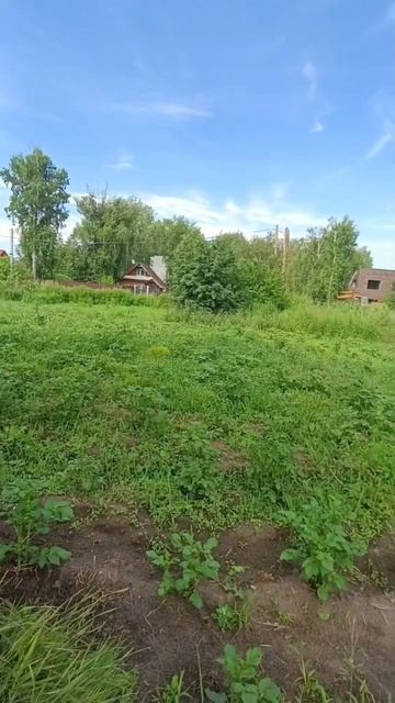 2897 смотреть онлайн