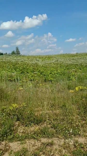 ищем водохранилище