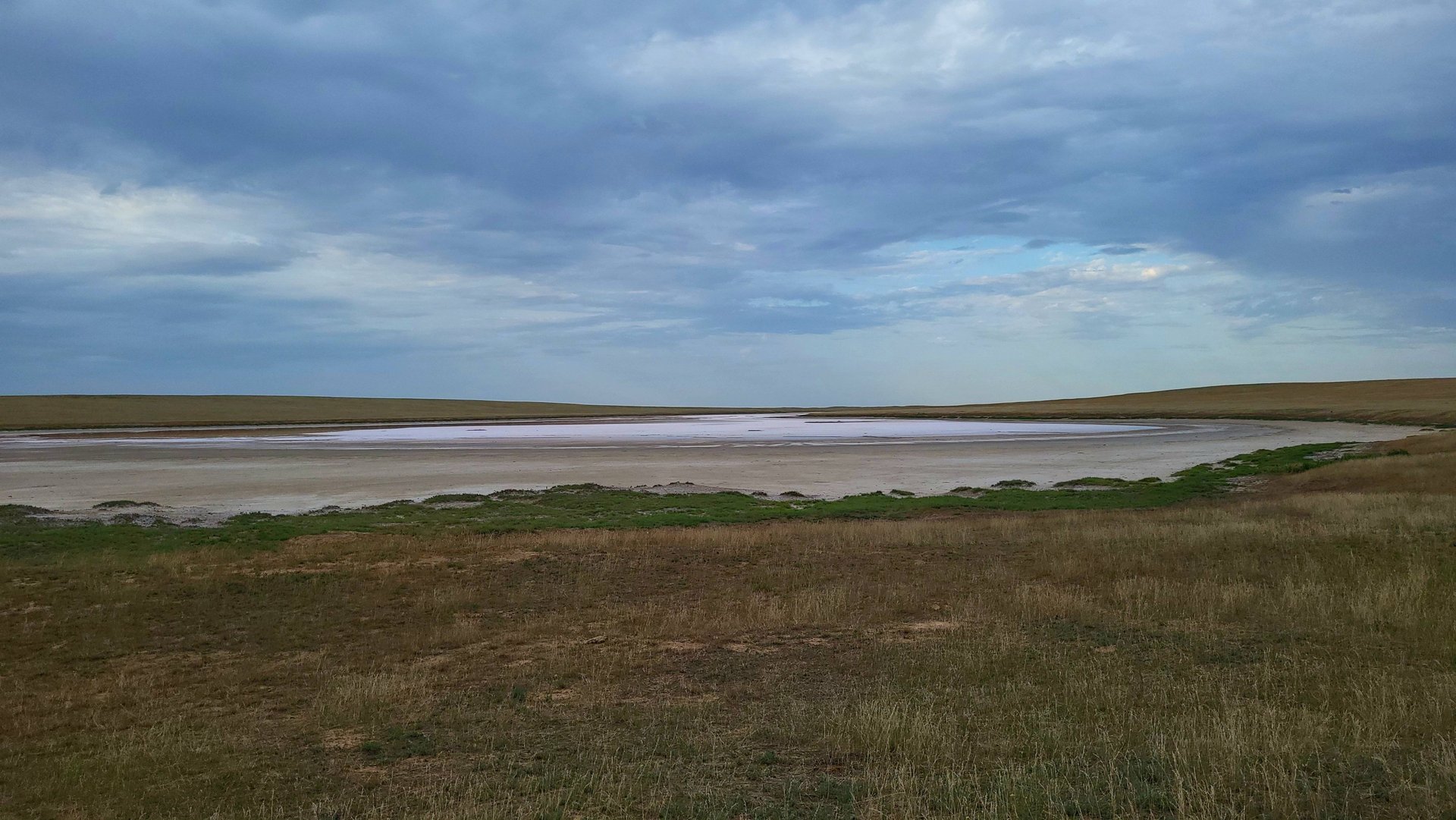 Дикая Калмыкия. Чёрные земли - один день из жизни животных. Часть первая - "Рассвет" смотреть онлайн