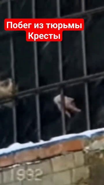 ПОБЕГ ИЗ КРЕСТОВ/ ПОЛНЫЙ ОБЗОР НА КАНАЛЕ #криминальнаяроссия #криминал