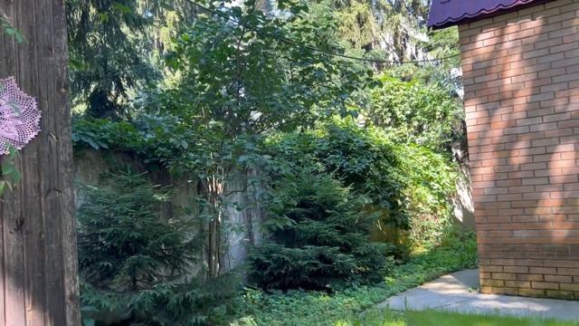 Влог-релакс:загораю,показываю участок,процессы вышивки и полезные упражнения для локтей!❤️ смотреть онлайн