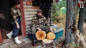 Как живут люди в тайге. Обычные будни. Сбор кедрового ореха. Изба в тайге - уют и умиротворение. 13с