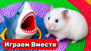 Крутой АКУЛИЙ лабиринт с ловушками для Хомяка 🐹 Выбираемся вместе 🦈 Видео для детей
