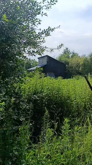 2896 смотреть онлайн