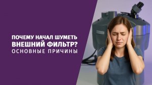 Почему начал шуметь внешний фильтр для аквариума?