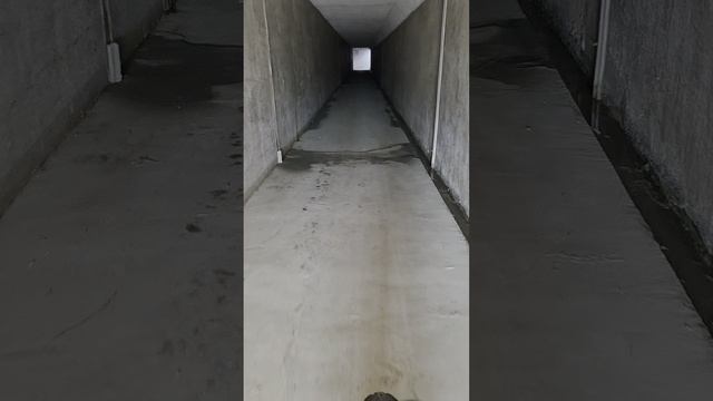 Вело трип 2.mp4🚲