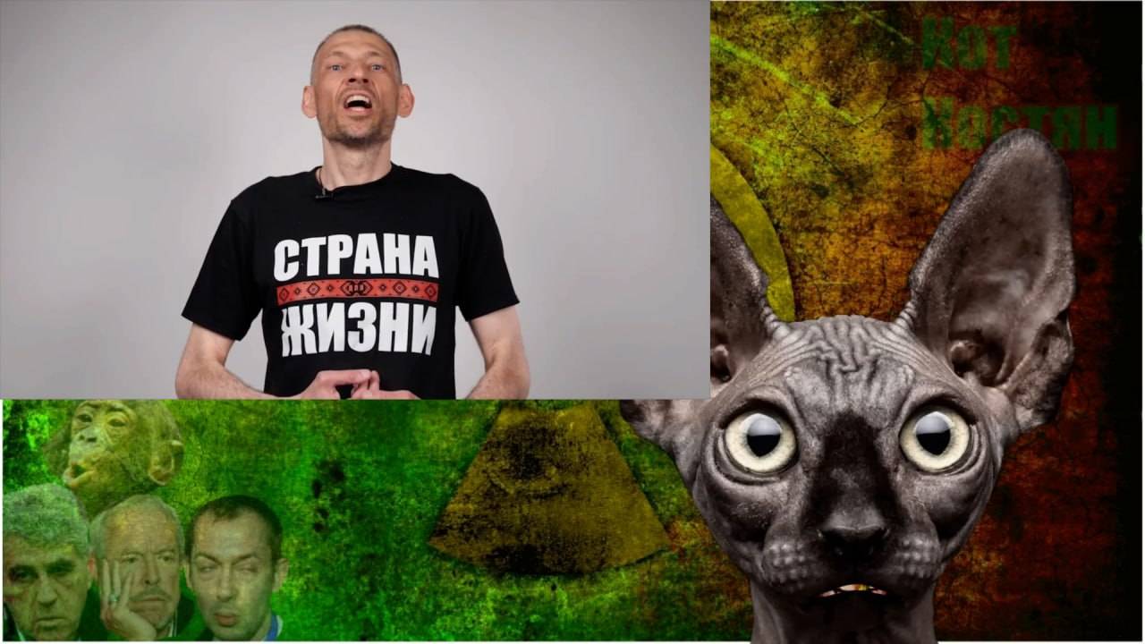 Сводки с фронтов с Котом Костяном от 07.07.25 смотреть онлайн