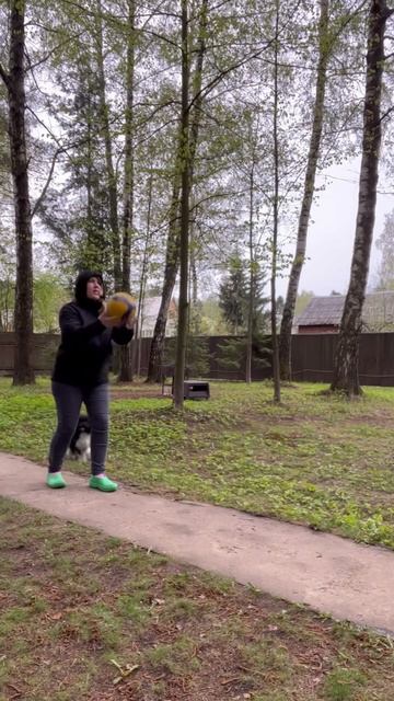 Игры с Бонни #пудель #тойпудель #арлекин смотреть онлайн