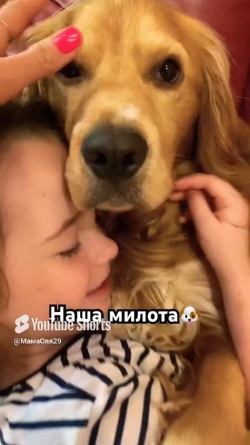 А Ваши дети тоже первым делом идут обнимать питомцы🐶#shorts#семья#лето#дети#утро#москва