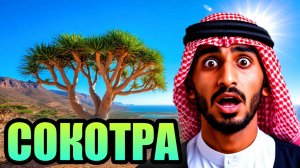 СОКОТРА- ВНЕЗЕМНОЙ ОСТРОВ!!! Загадочный Архипелаг Йемена!!!!