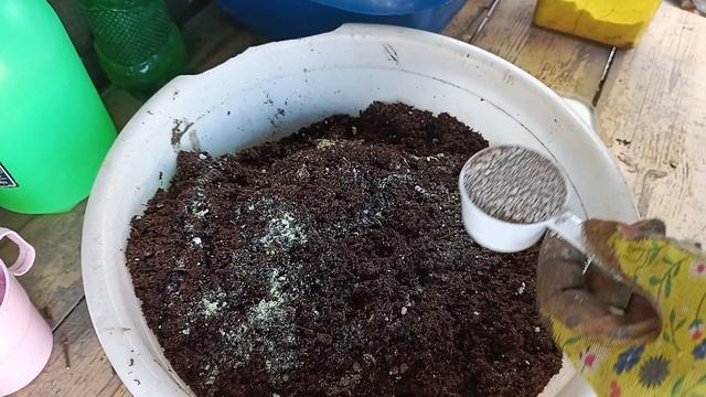 Новинка Мечта Лескова. Wildberries смотреть онлайн