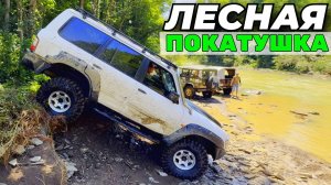 Выезд внедорожников после наводнения. Ниссан патрол на М57. УАЗ на 42. Нива 2024 года в лесу