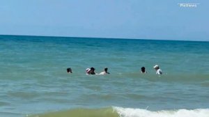 Веселовка Темрюкский район Центральный пляж сегодня 7 июля 2025. Море и погода в Веселовке сейчас