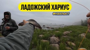 | Ловля хариуса на Ладожским озере |