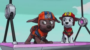 Щенячий патруль. Песенка про Зуму, про щенка водного спасателя