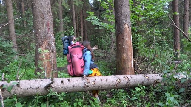 Аникеевка2014 зарисовка1