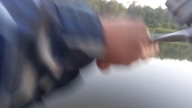 Рыбалка на донки. Река Обь, протока. Не плохой улов. смотреть онлайн