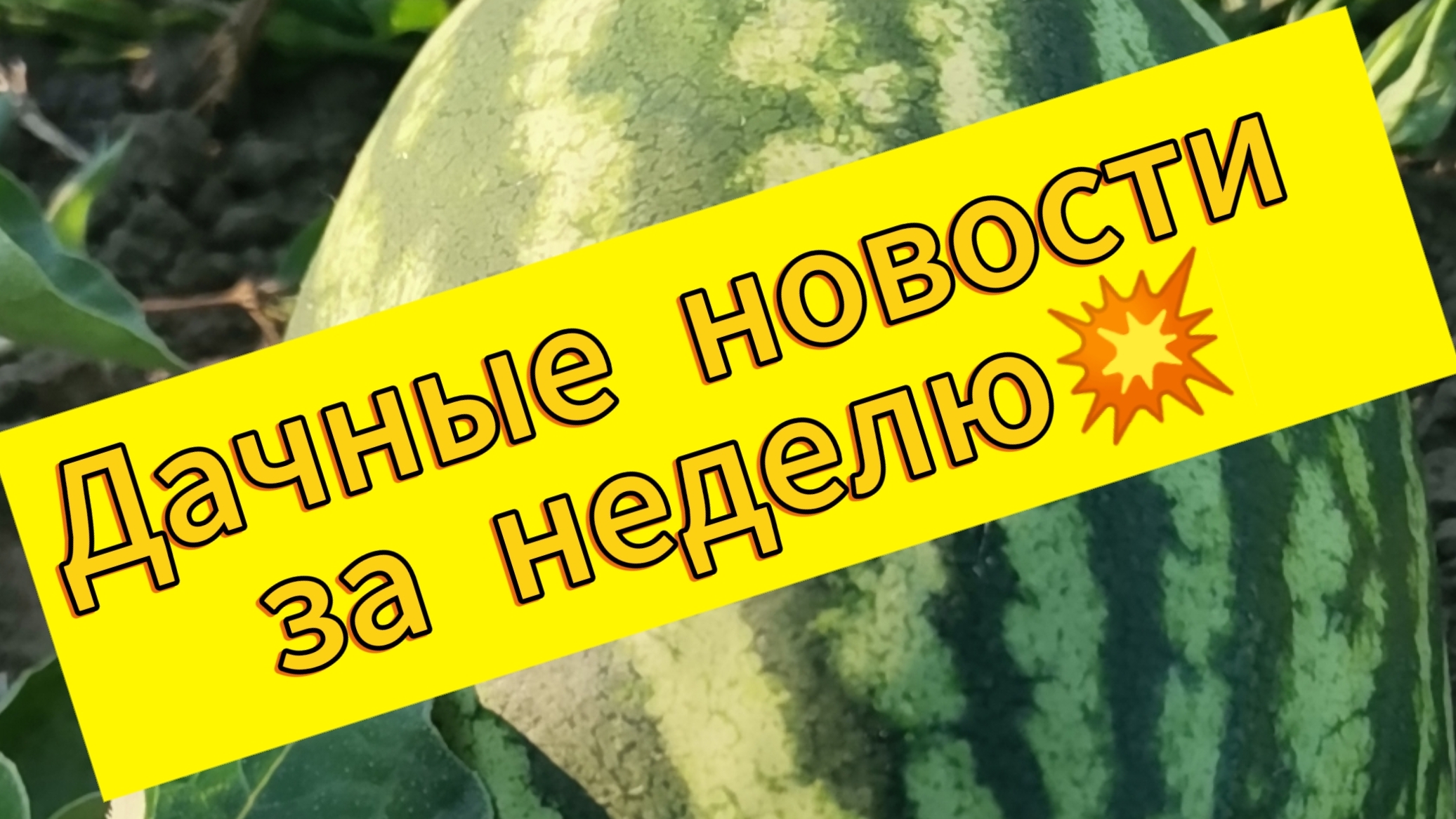 Дачный прогресс за неделю смотреть онлайн