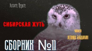 Сибирская Жуть: СБОРНИК №11. Чит. Леонид Блудилин