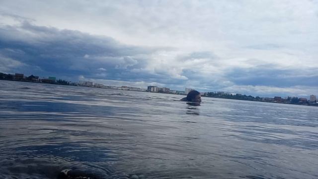 Купаюсь в озере