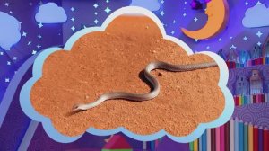 ✨Спокойной ночи, малыши✨089/2025 Ушастый родственник