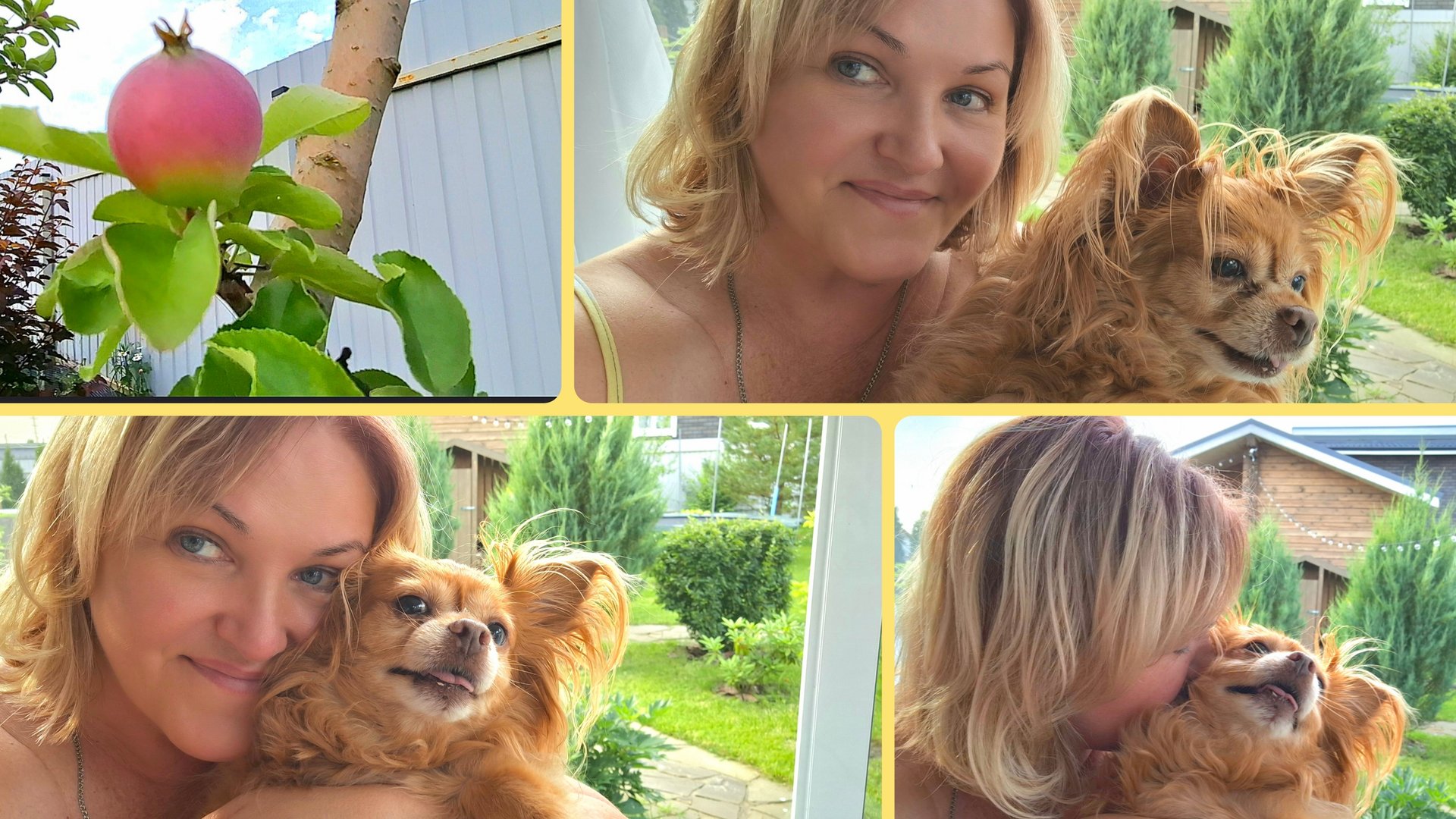 Мы с Веней на Relax🥰🌴🐶В Московской области Можайск смотреть онлайн