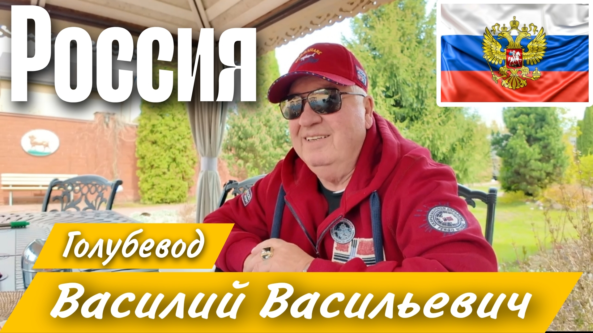 Заводчик бойных голубей, Василий Васильевич, стремится сохранить и улучшить породу голубей.#pigeon смотреть онлайн