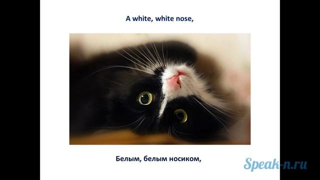 An old man смотреть онлайн