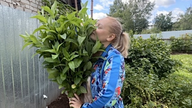 Букет из мяты. Я, как КОШКА. МУРР 😻 смотреть онлайн