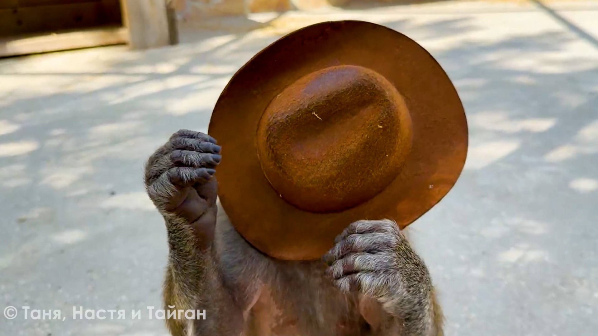 Голоштанная команда в ковбойских шляпах! Степан к девчонкам, те врассыпную! Тося уже дает отпор! смотреть онлайн