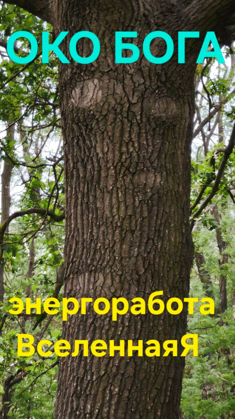 Око Бога. Энергетическая работа.