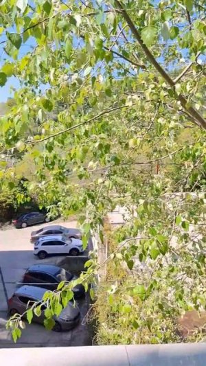 Квартира у моря