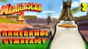 ПИНГВИНЫ ОТЖИГАЮТ / Мадагаскар 2 Прохождение #2