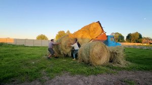 У нас подкидыш. Вот так пополнение. Всю ночь возили сено. Продолжаем строить стены. Жизнь в деревне.