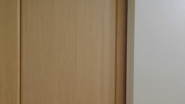 1000022565.mp4 смотреть онлайн