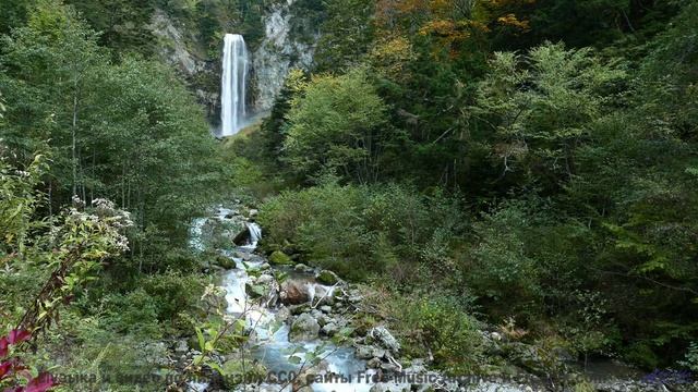 Под эту музыку природа дышит по-новому - Temple Procession (ID 1421) -- Lobo Loco -- Spaceforce OMEG