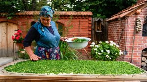 Моя Уютная Деревенская Кухня: Лепёшки с Зелёным Луком 🧅✨