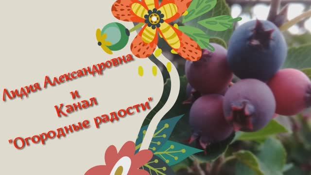 2061.  Часть 3, обзор посадок в июне.