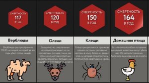 Сравнение_ Опасные Животные