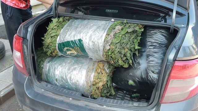 Гуманитарная помощь