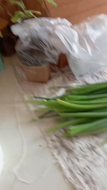 Снимаем Урожай смотреть онлайн