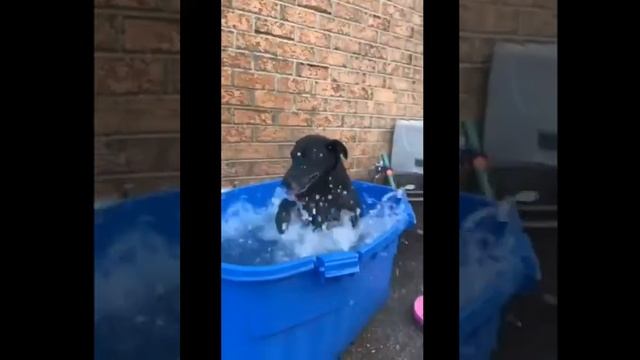 В такую жару только так во Владивостоке смотреть онлайн