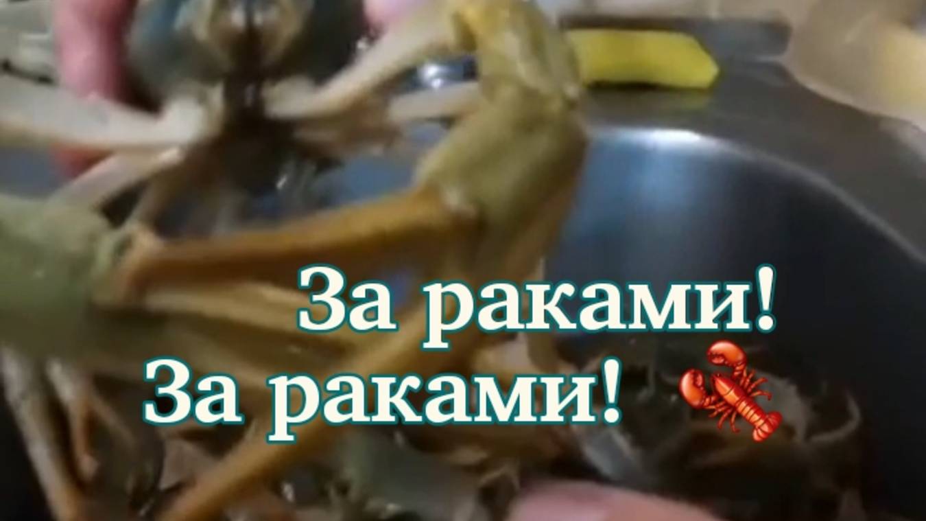 На реку за раками! 🦞 смотреть онлайн