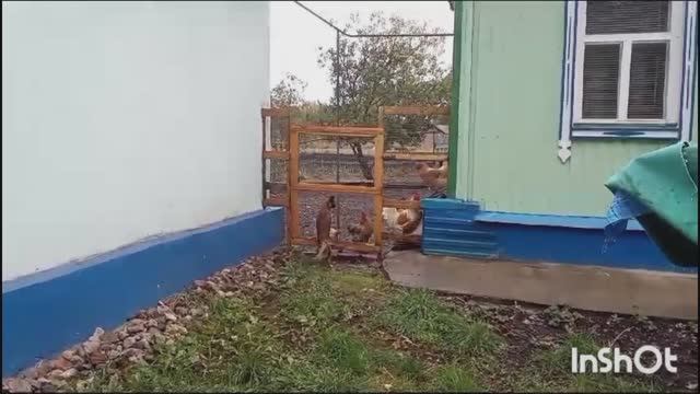 Жизнь в деревне - Сегодня: Когда одна, Готовлю еду. Новости от мужа смотреть онлайн