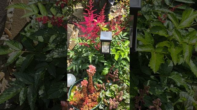 7 июля дача маленький обзор красного цветника смотреть онлайн