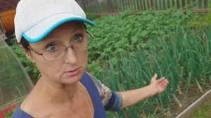 Видео привет с 6 соток 6 июля 2025 года.