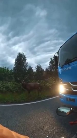 Берегите себя.