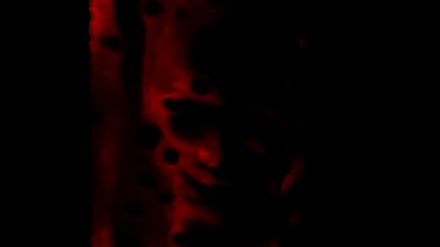 ANALOG HORROR - THE LIGHTHOUSE